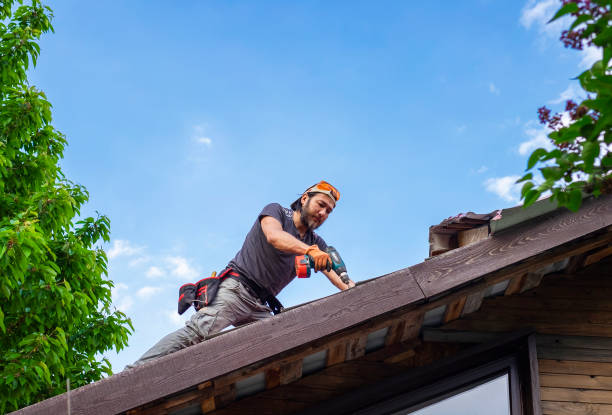 Reliable Wayne, OH Roofing services Solutions